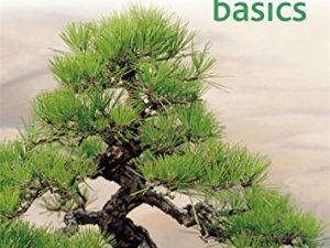 Bonsai Basics - A Comprehensive Guide to Care and Cultivation by Peter Lewis