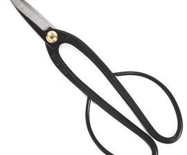 Joshua Roth Ashinaga Shears