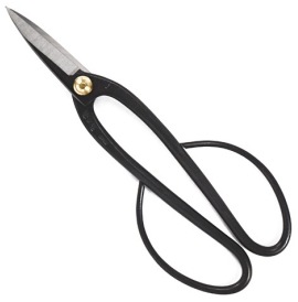 Joshua Roth Ashinaga Shears