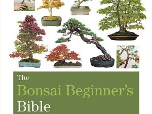 The Bonsai Beginner's Bible by Peter Chan