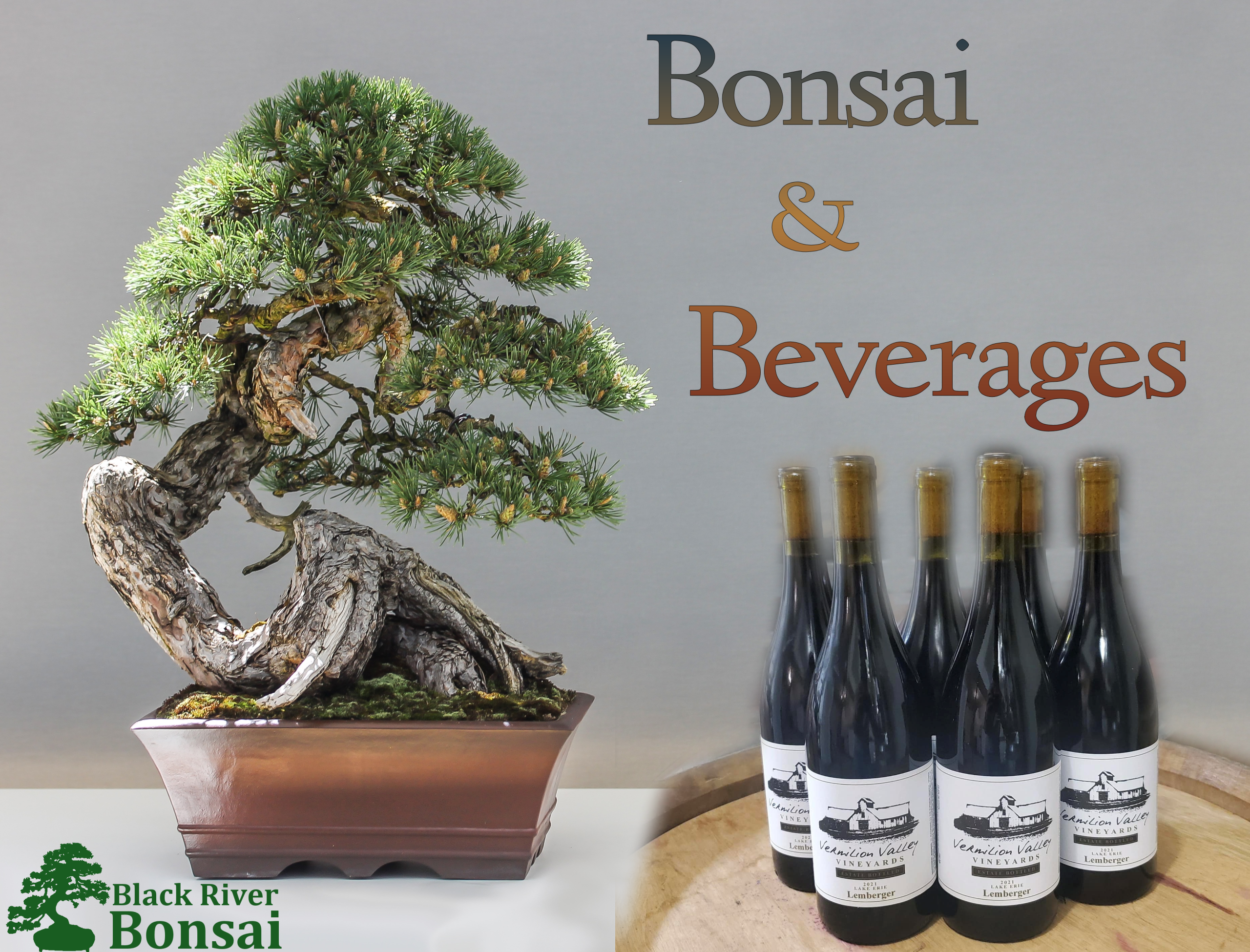 Bonsai & Beverages Workshop - 11/8/25