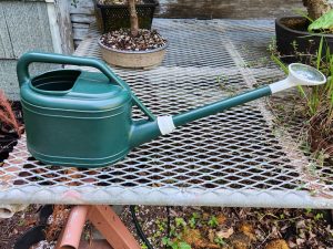 Joshua Roth watering can