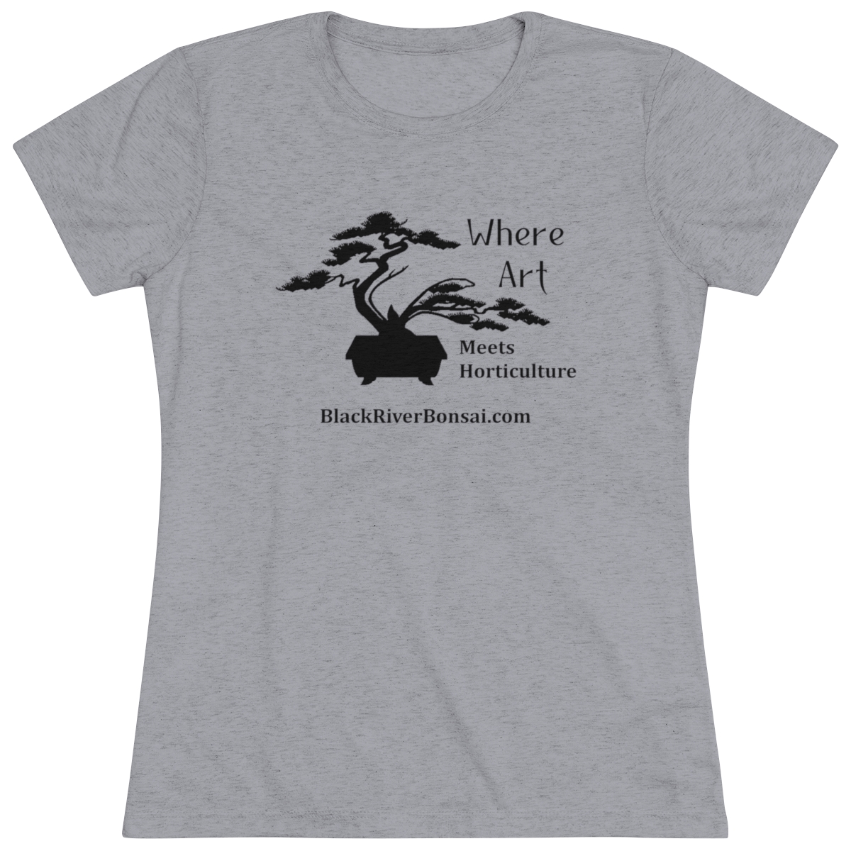 Art/Horticulture Women's Triblend Tee - Image 21