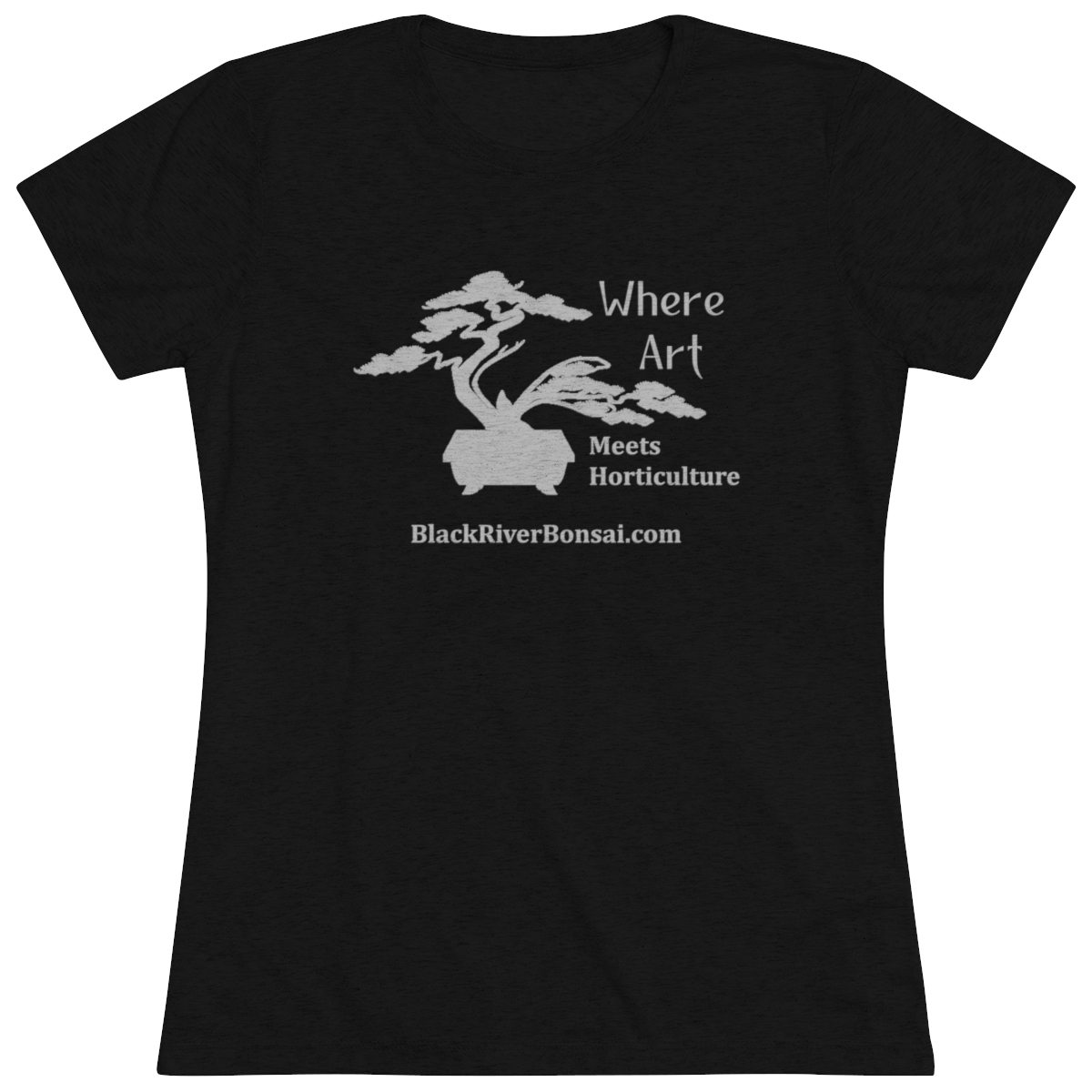Art/Horticulture Women's Triblend Tee - Image 6