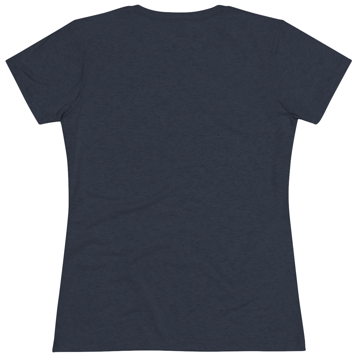 Art/Horticulture Women's Triblend Tee - Image 17