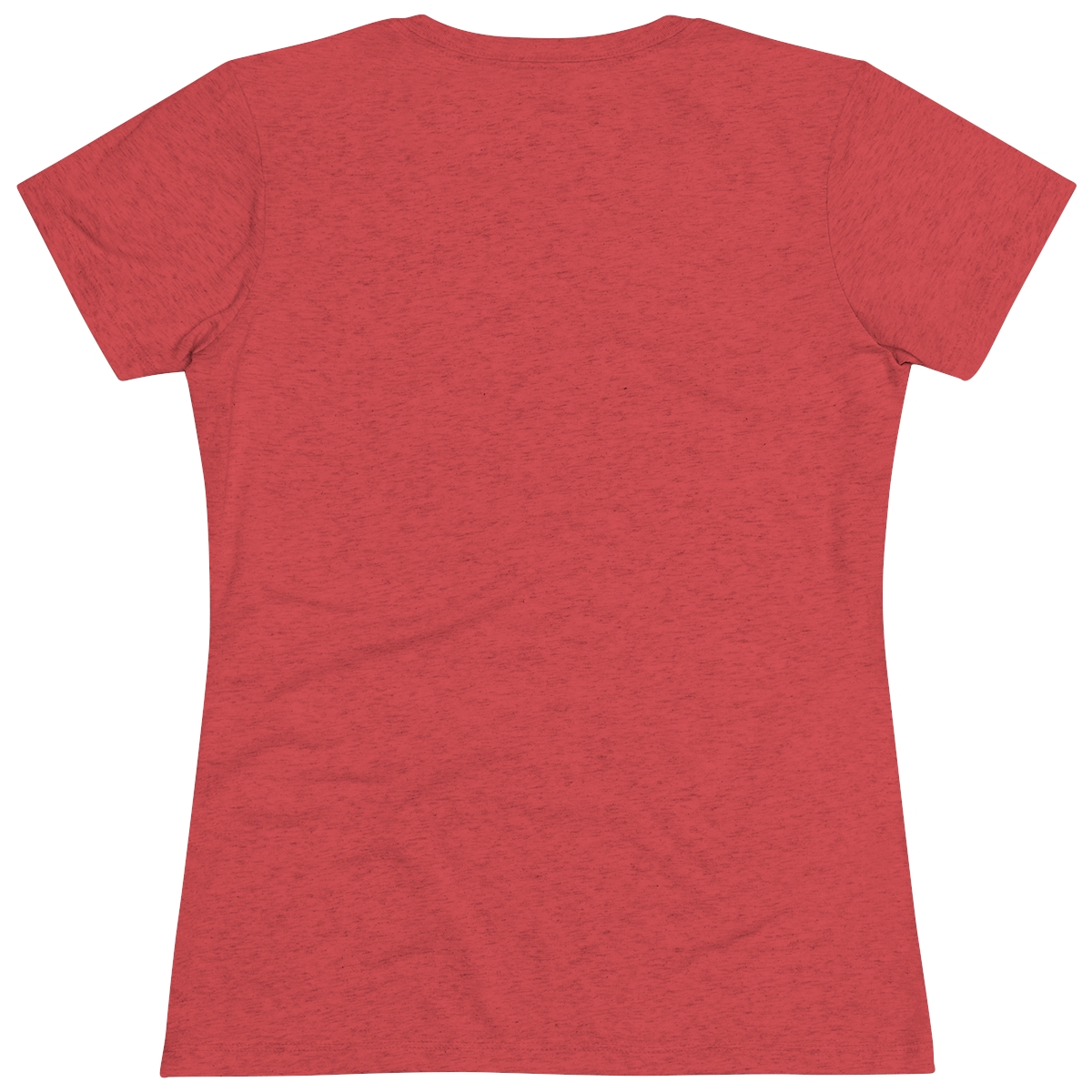 Art/Horticulture Women's Triblend Tee - Image 27
