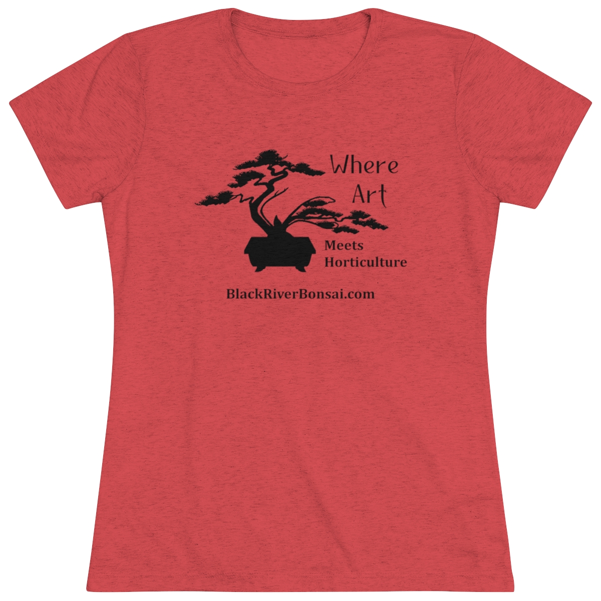 Art/Horticulture Women's Triblend Tee - Image 26