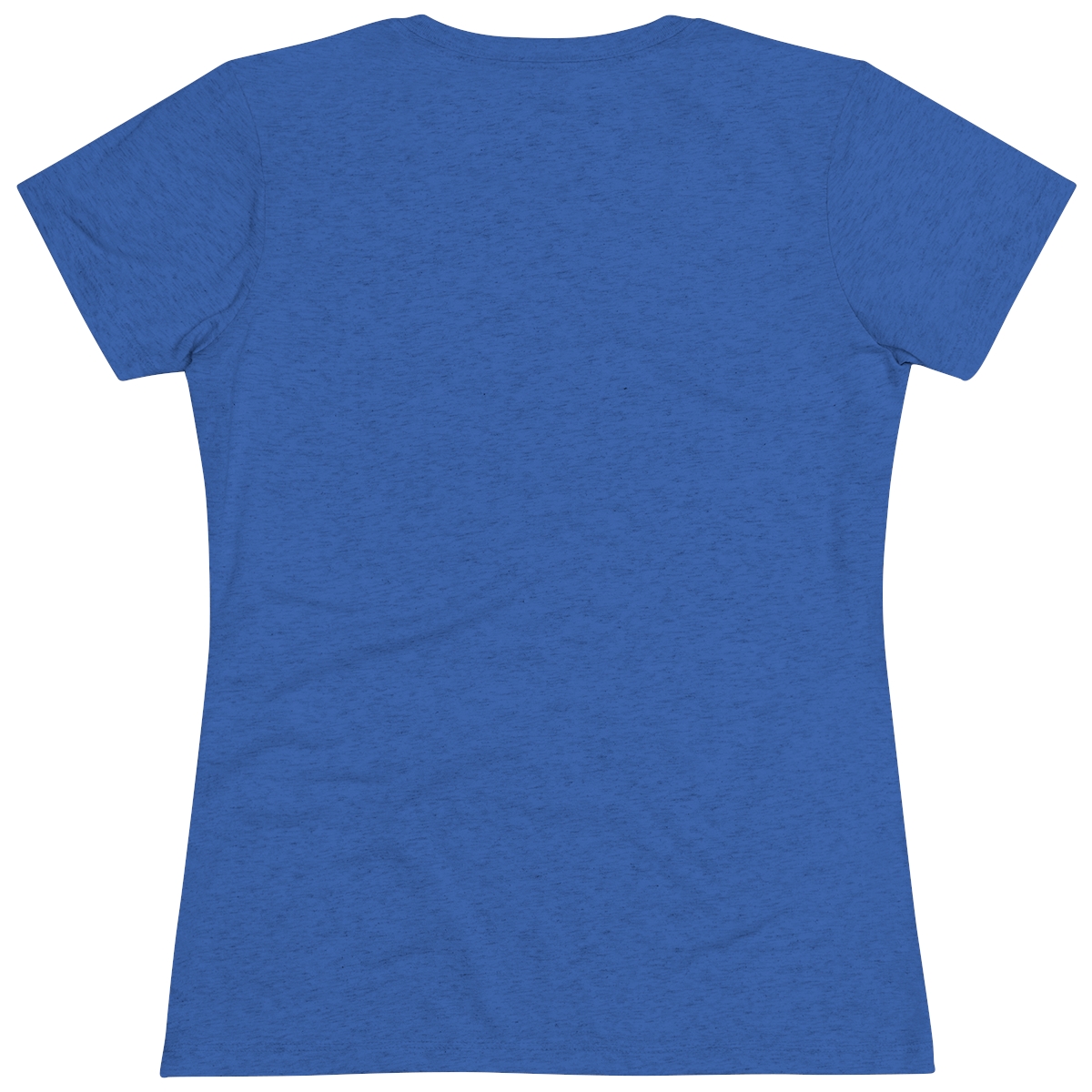 Art/Horticulture Women's Triblend Tee - Image 12
