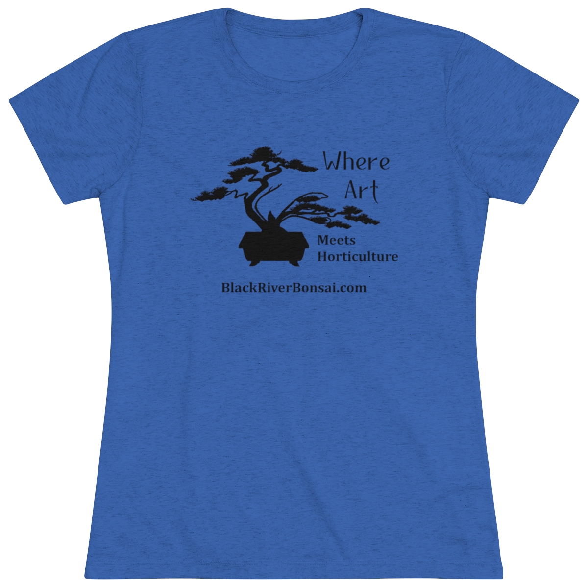 Art/Horticulture Women's Triblend Tee - Image 11