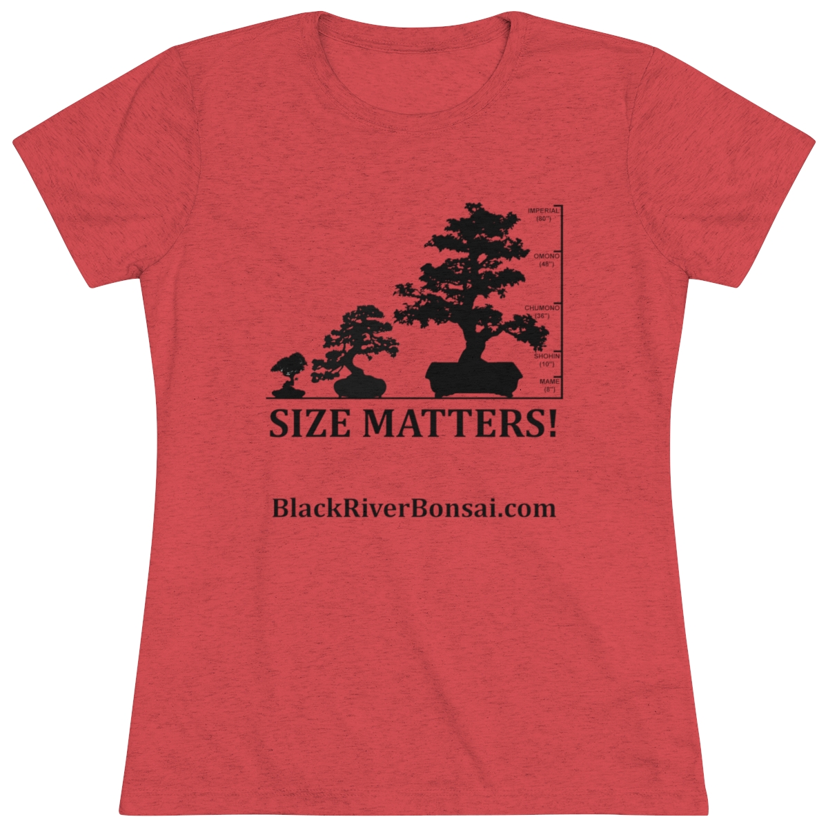 Size Matters Women's Triblend Tee - Image 26