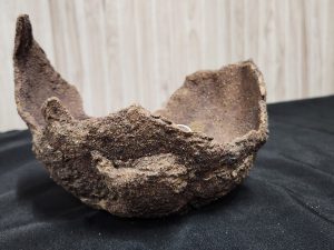 Don Lindstrom medium scoop
