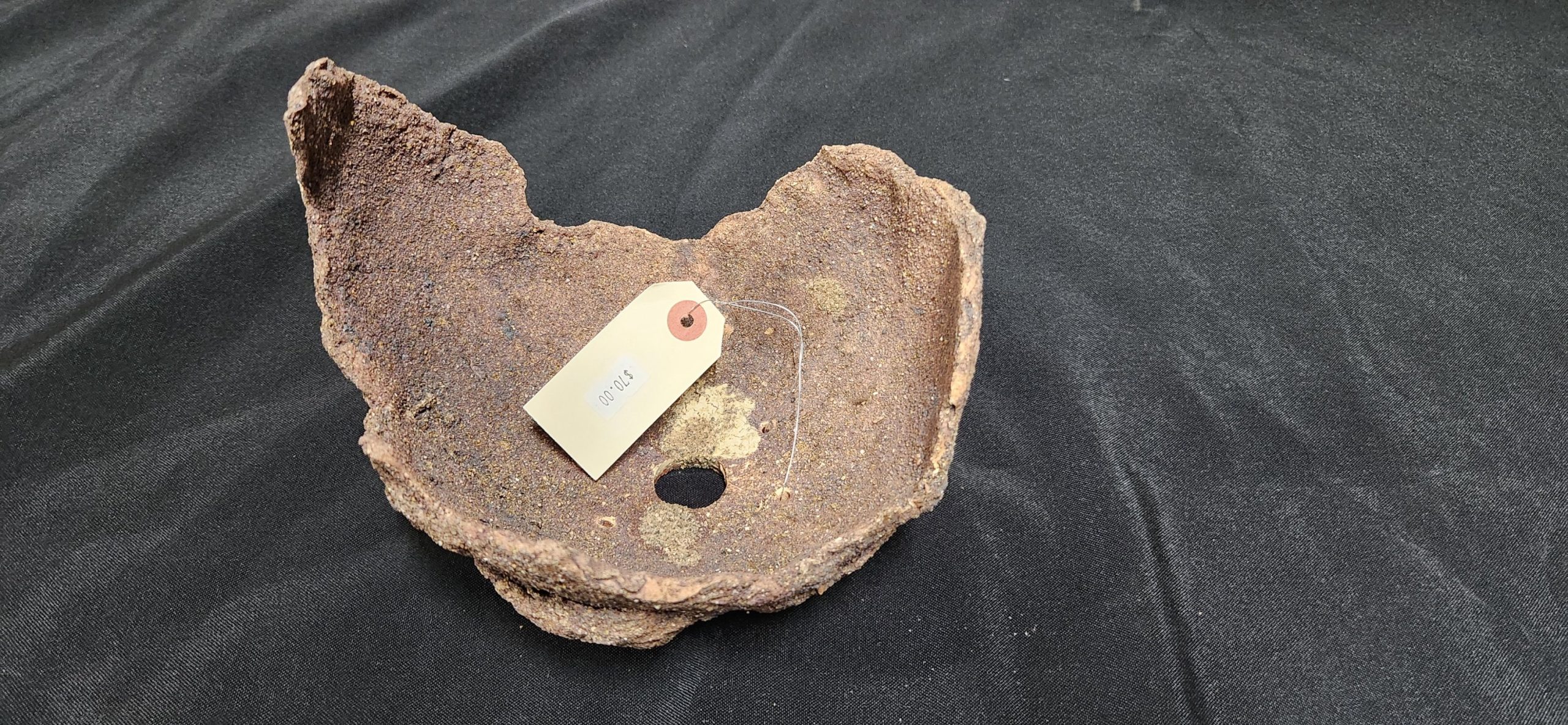 Don Lindstrom medium scoop - Image 2