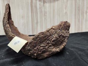 Don Lindstrom large scoop