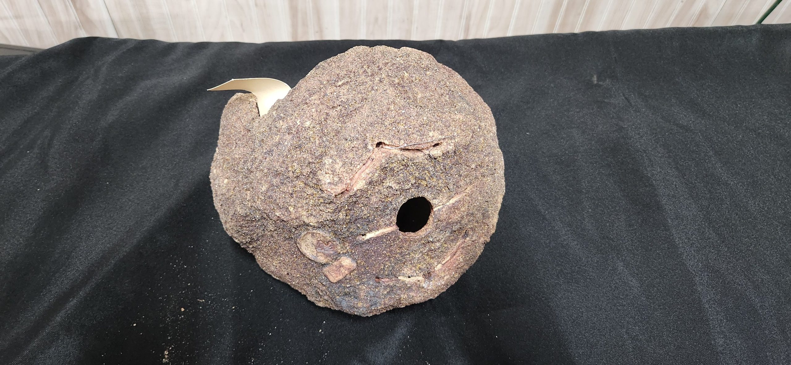 Don Lindstrom large scoop - Image 3