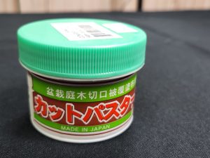 Joshua Roth conifer cut paste