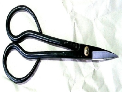 Joshua Roth 'Joshy' Satsuki Shears