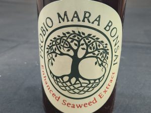 probio Mara - Enhanced Seaweed